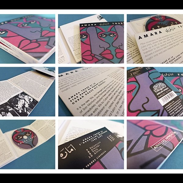 Vinyl Case